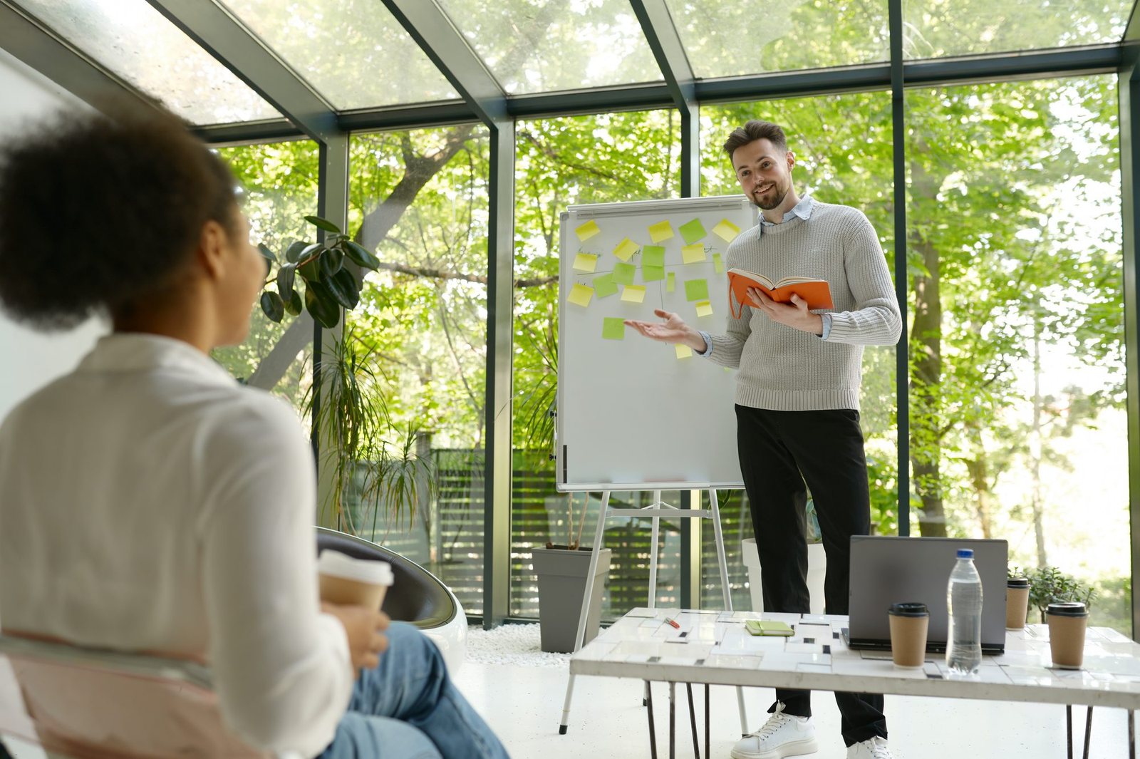 A consultant presenting at a flip chart to a colleague in a bright office
