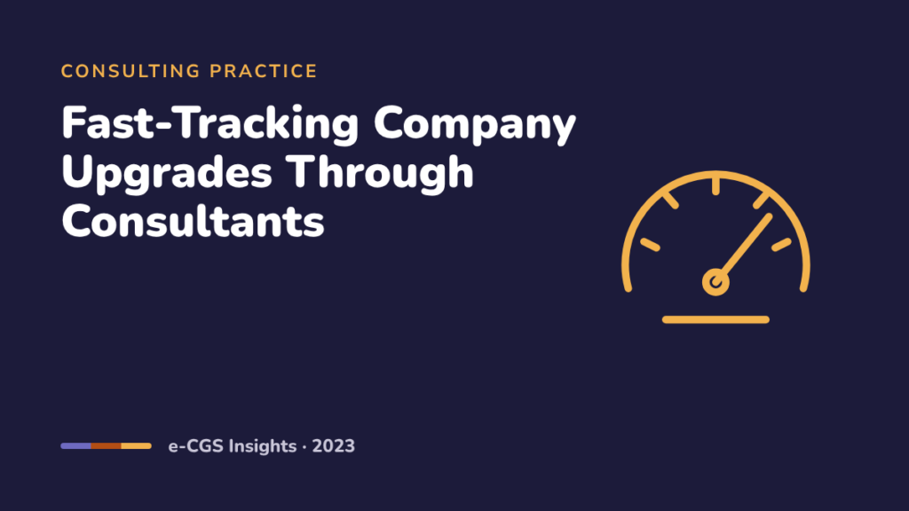 Fast-Tracking Company Upgrades Through Consultants