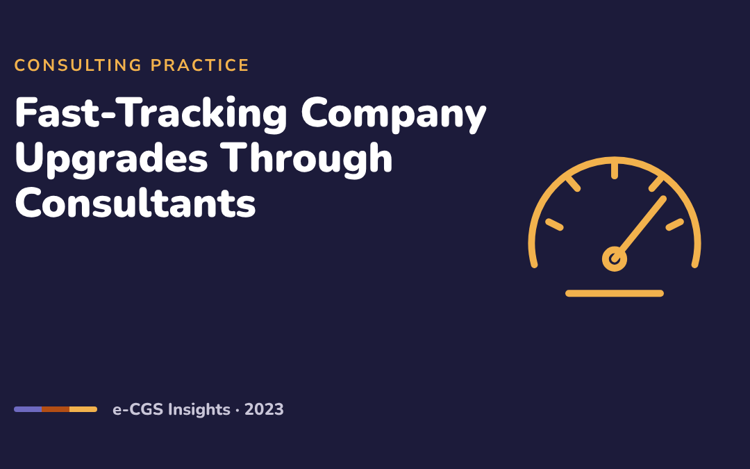 Fast-Tracking Company Upgrades Through Consultants